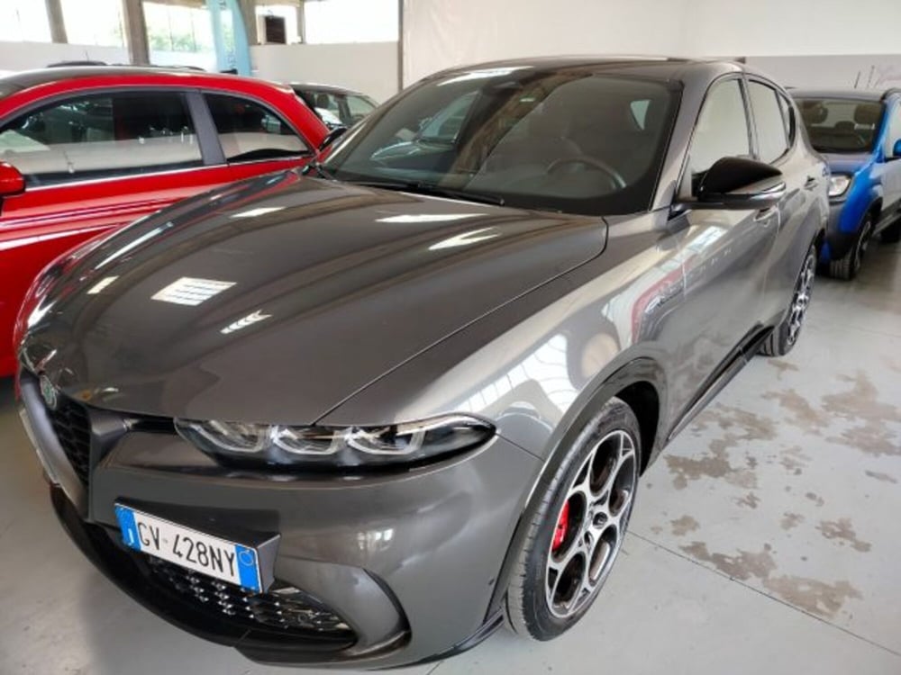 Alfa Romeo Tonale usata a Forlì-Cesena (6)
