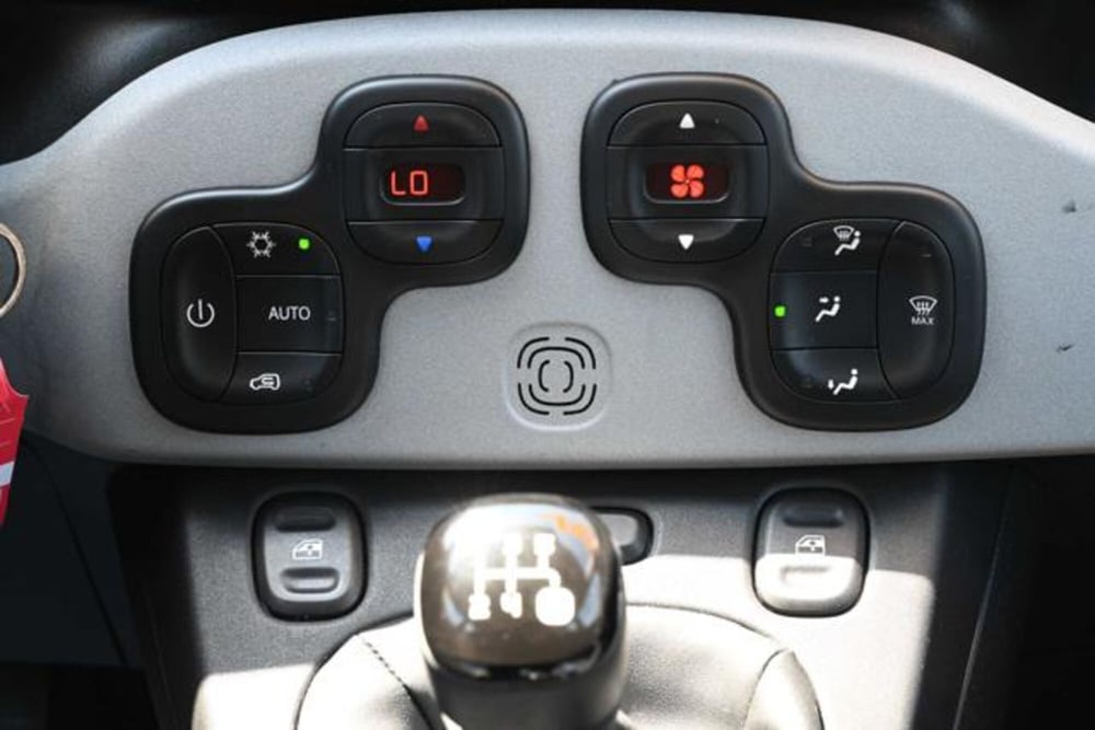 Fiat Panda Cross usata a Torino (19)