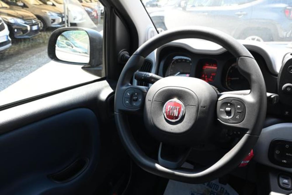 Fiat Panda Cross usata a Torino (20)