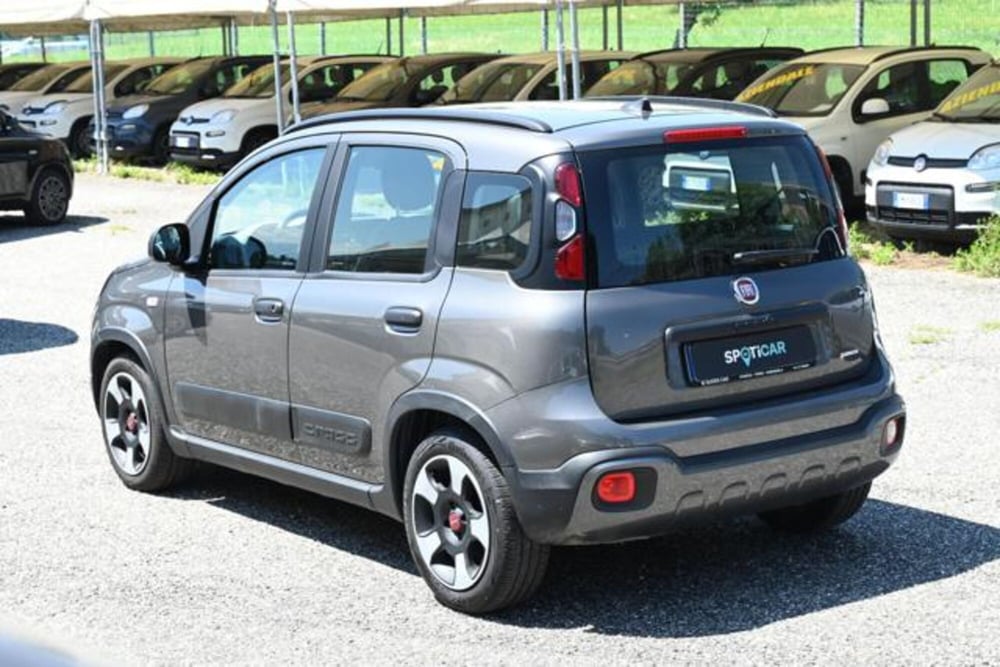 Fiat Panda Cross usata a Torino (7)