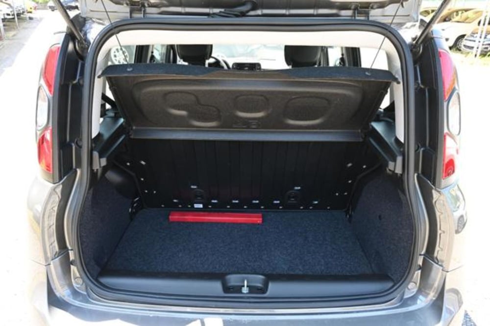 Fiat Panda Cross usata a Torino (9)