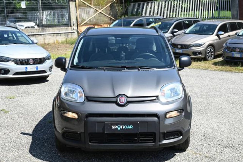 Fiat Panda usata a Torino (2)