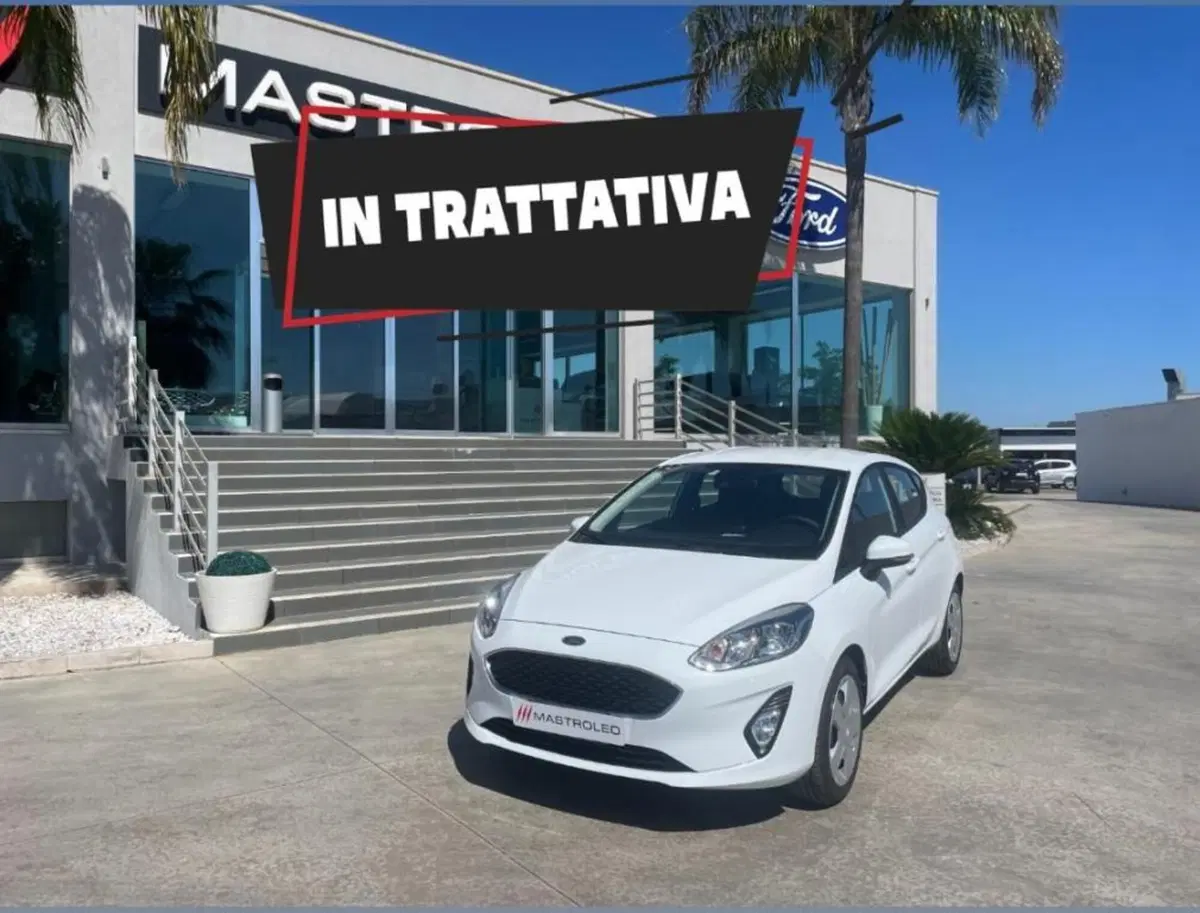 Ford Fiesta usata a Lecce