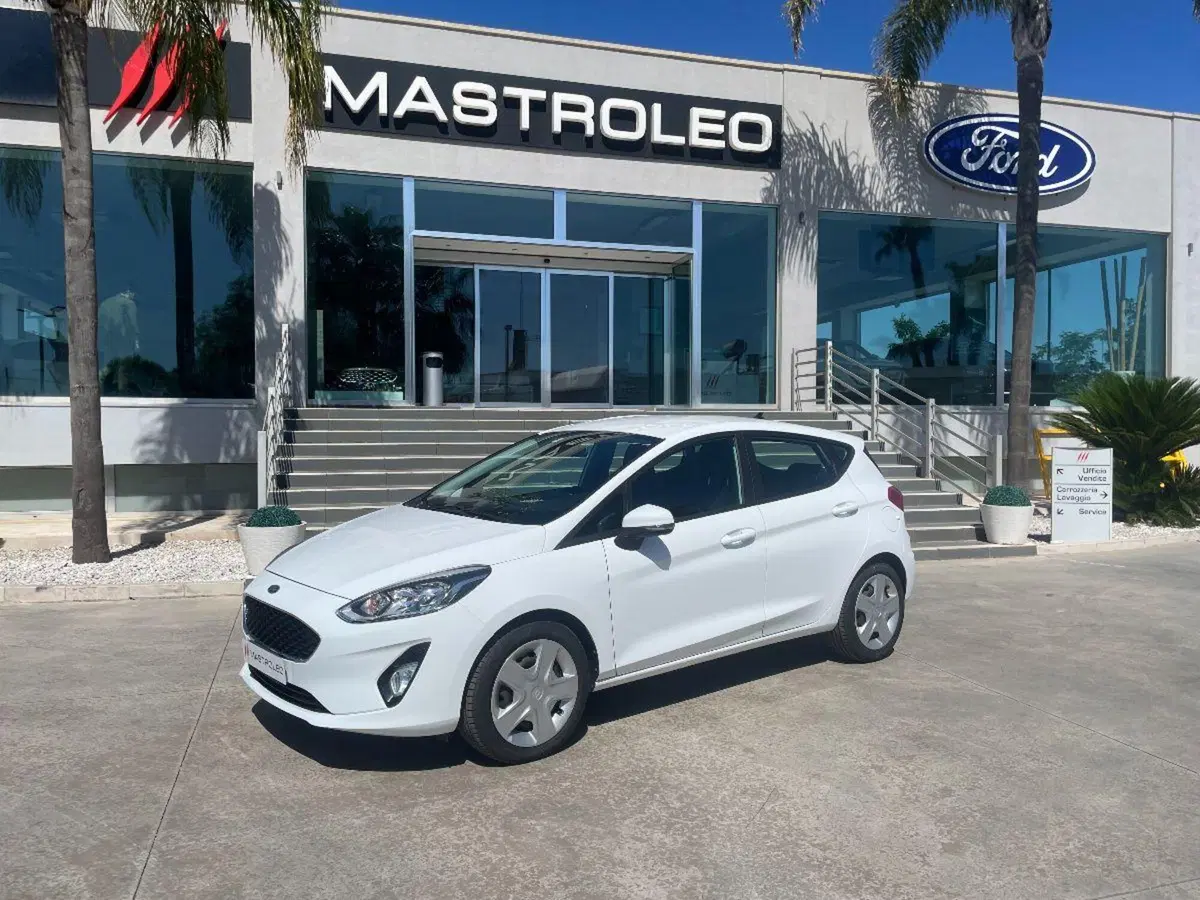 Ford Fiesta usata a Lecce (2)