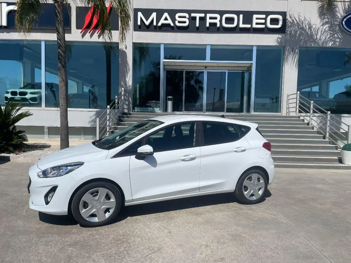 Ford Fiesta usata a Lecce (3)