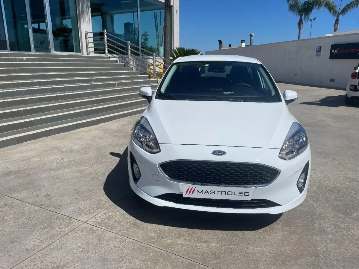 Ford Fiesta usata a Lecce (4)