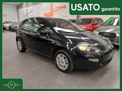 Fiat Punto 1.2 8V 5 porte Lounge del 2016 usata a Vaiano Cremasco
