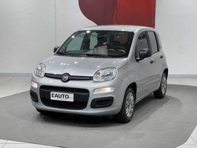 Fiat Panda 1.2 Lounge del 2015 usata a Caspoggio
