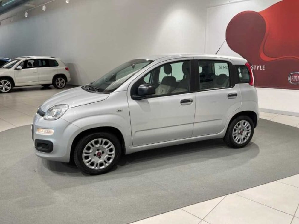 Fiat Panda usata a Sondrio (2)