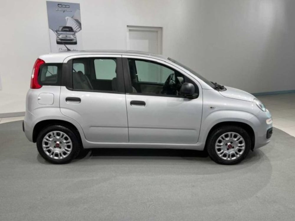 Fiat Panda usata a Sondrio (6)