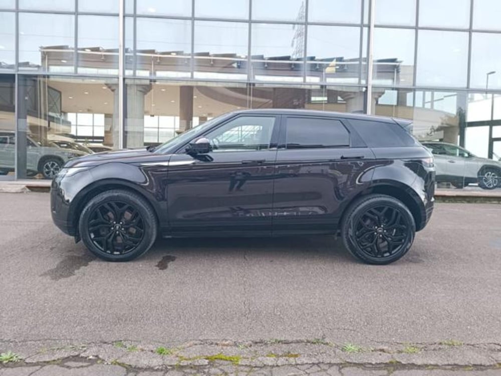 Land Rover Range Rover Evoque usata a Pisa (14)