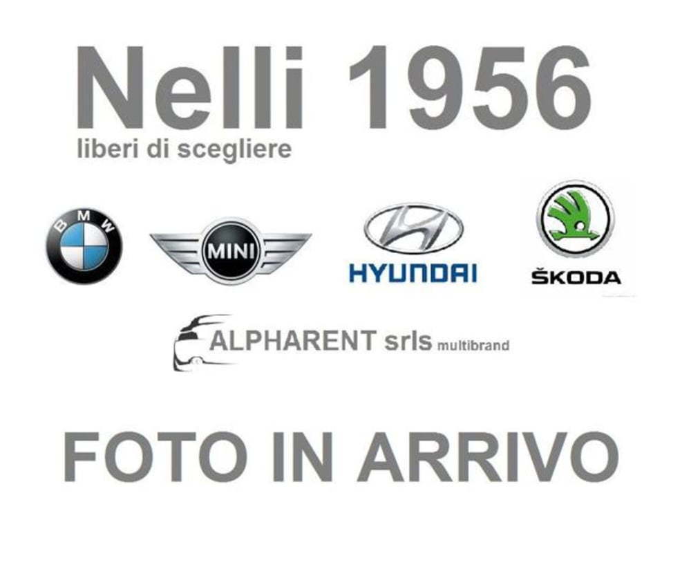 Skoda Kamiq usata a Pisa