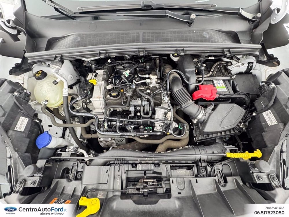 Ford Puma usata a Roma (12)