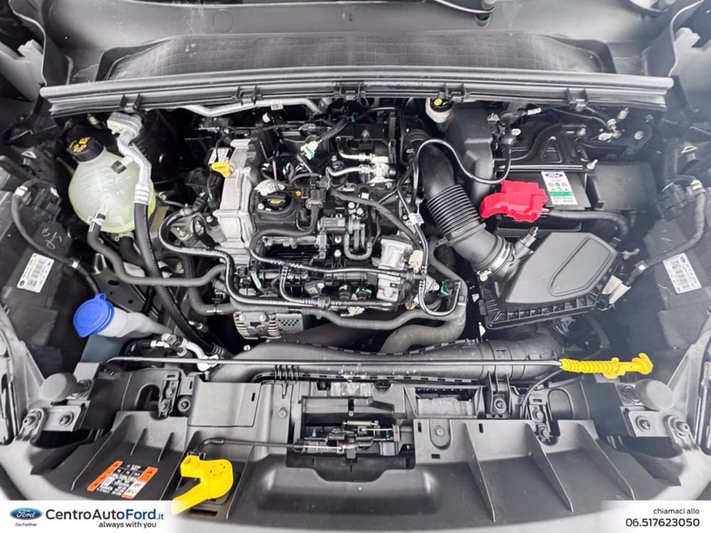 Ford Puma usata a Roma (12)