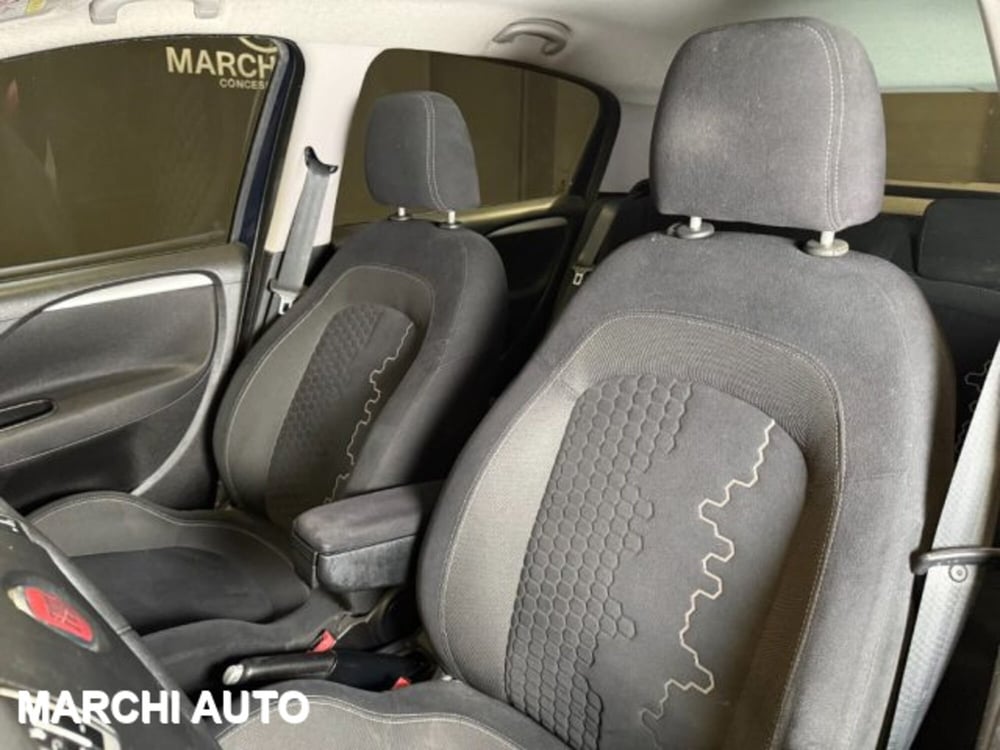 Fiat Punto usata a Perugia (11)