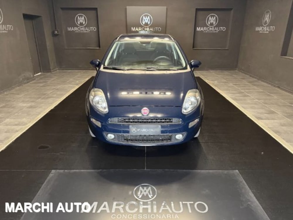 Fiat Punto usata a Perugia (2)