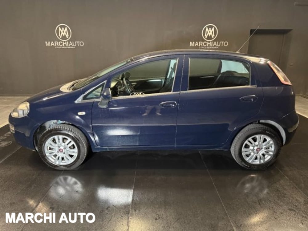 Fiat Punto usata a Perugia (8)