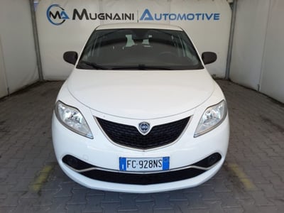 Lancia Ypsilon 1.2 69 CV 5 porte Silver del 2016 usata a Firenze