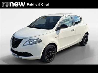 Lancia Ypsilon 1.2 69 CV 5 porte GPL Ecochic Elefantino del 2015 usata a Pinerolo