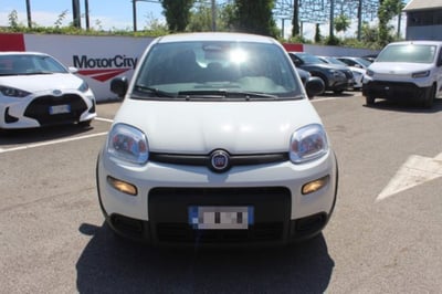 Fiat Panda 1.0 firefly hybrid s&amp;s 70cv 5p.ti del 2025 usata a Roma