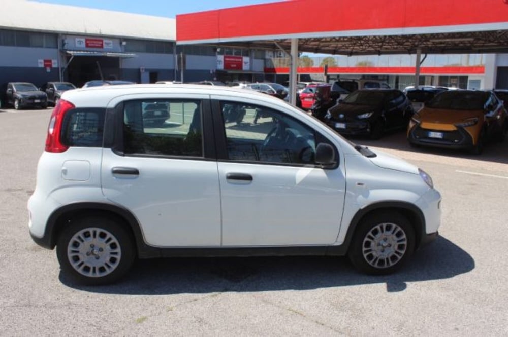 Fiat Panda usata a Roma (19)