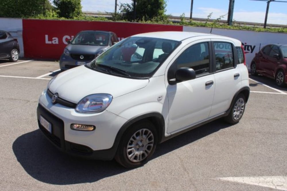 Fiat Panda usata a Roma (2)
