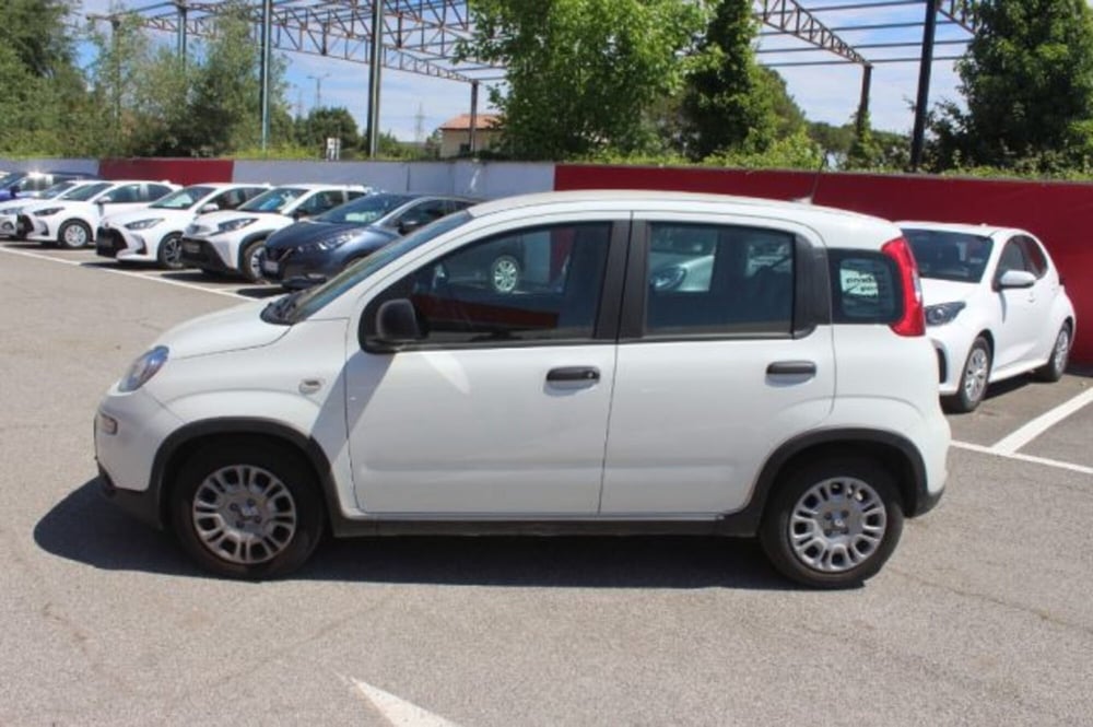 Fiat Panda usata a Roma (3)