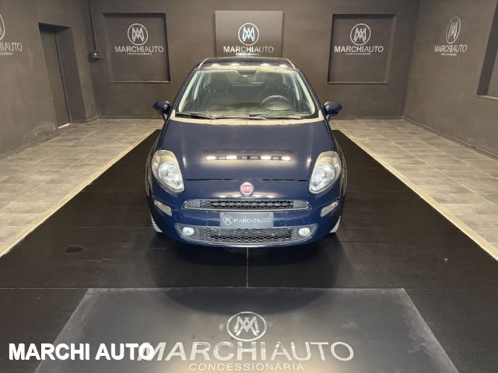 Fiat Punto usata a Perugia (2)
