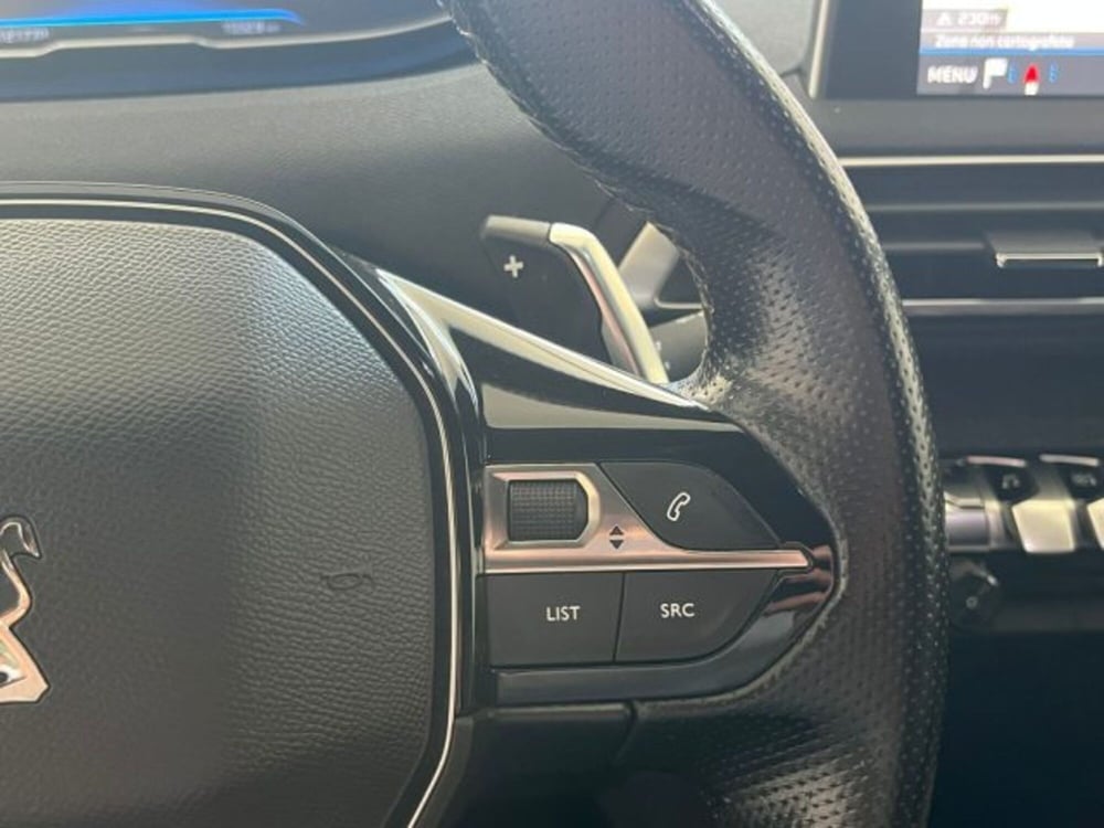 Peugeot 3008 usata a Trapani (16)