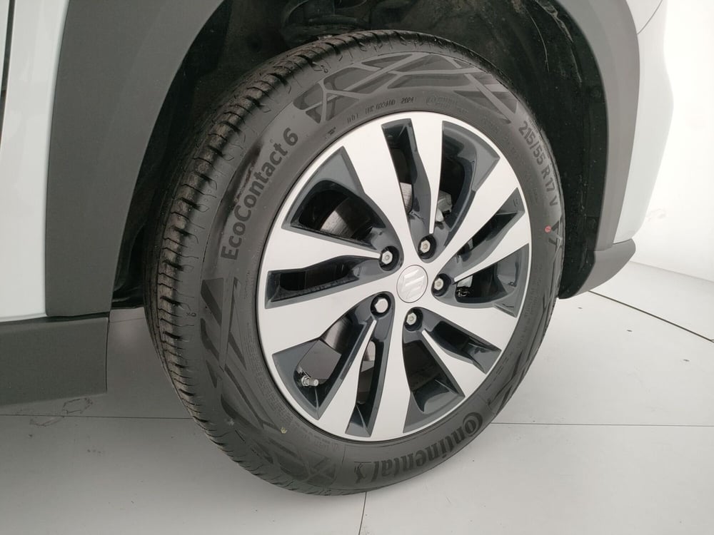 Suzuki S-Cross usata a Caserta (17)