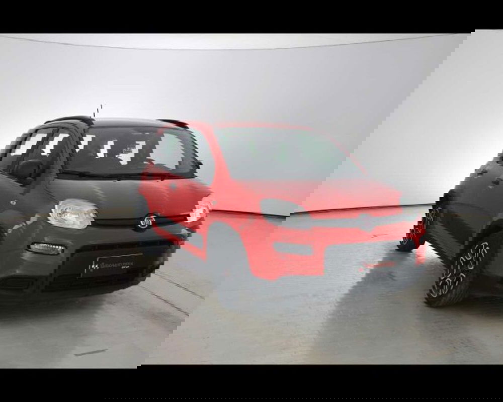 Fiat Panda usata a Bologna (3)