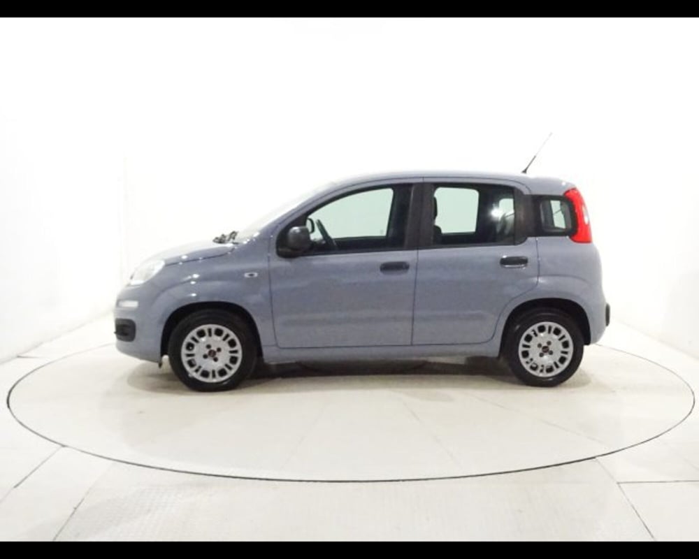 Fiat Panda usata a Bologna (3)
