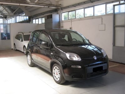 Fiat Panda 1.0 firefly hybrid s&amp;s 70cv 5p.ti del 2024 usata a Ascoli Piceno