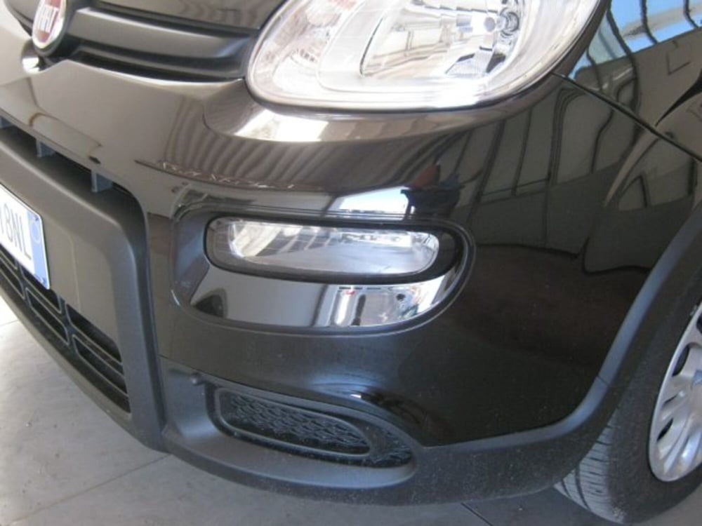 Fiat Panda usata a Ascoli Piceno (13)