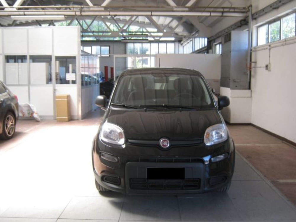 Fiat Panda usata a Ascoli Piceno (2)