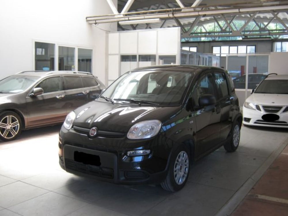 Fiat Panda usata a Ascoli Piceno (3)