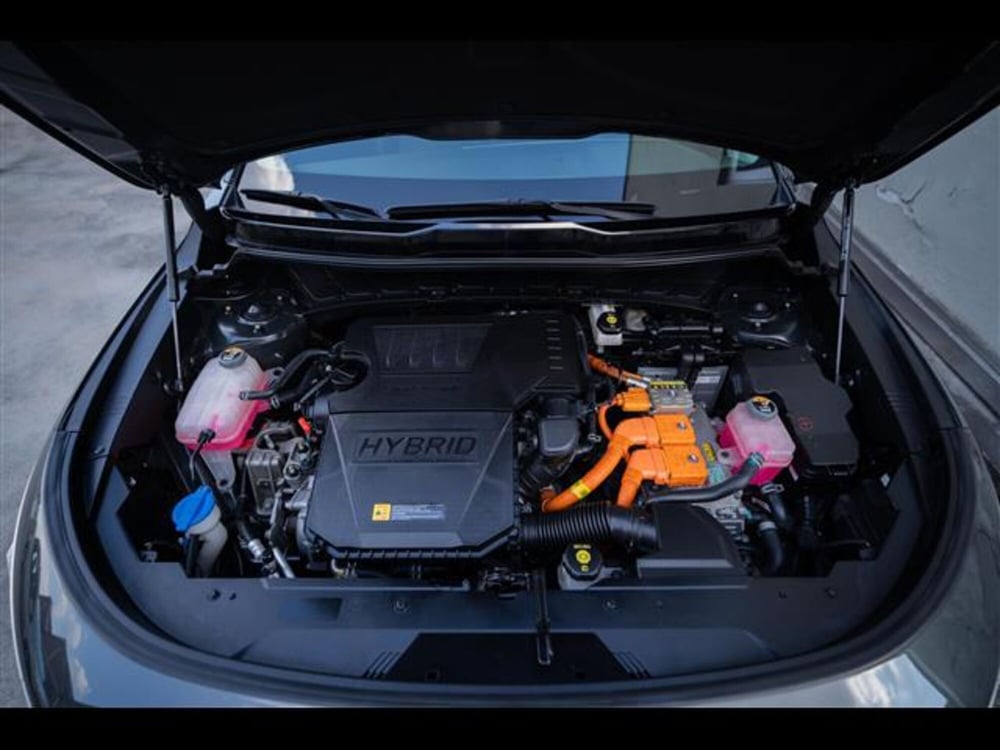 Kia Niro usata a Torino (13)