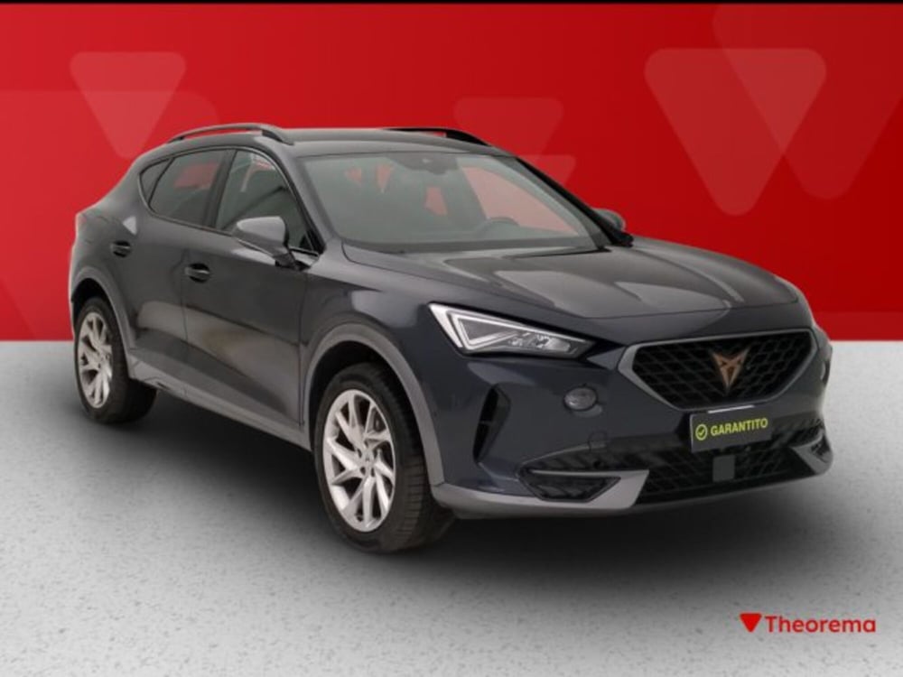 Cupra Formentor usata a Torino (7)