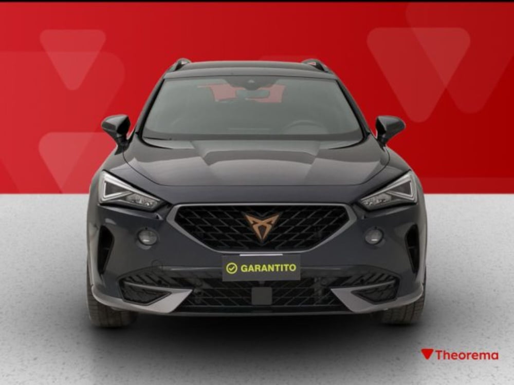 Cupra Formentor usata a Torino (8)