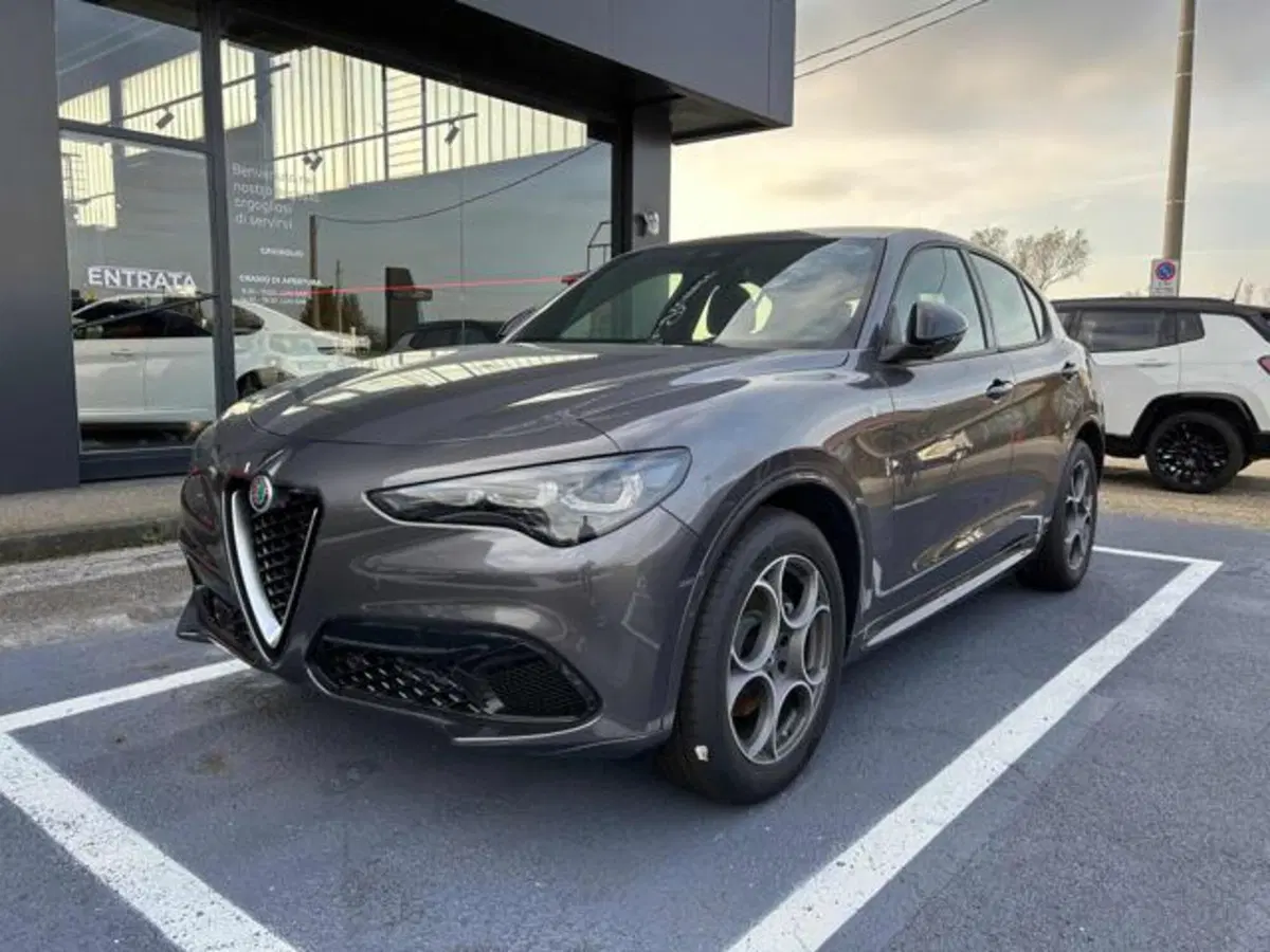 Alfa Romeo Stelvio nuova a Vercelli (3)