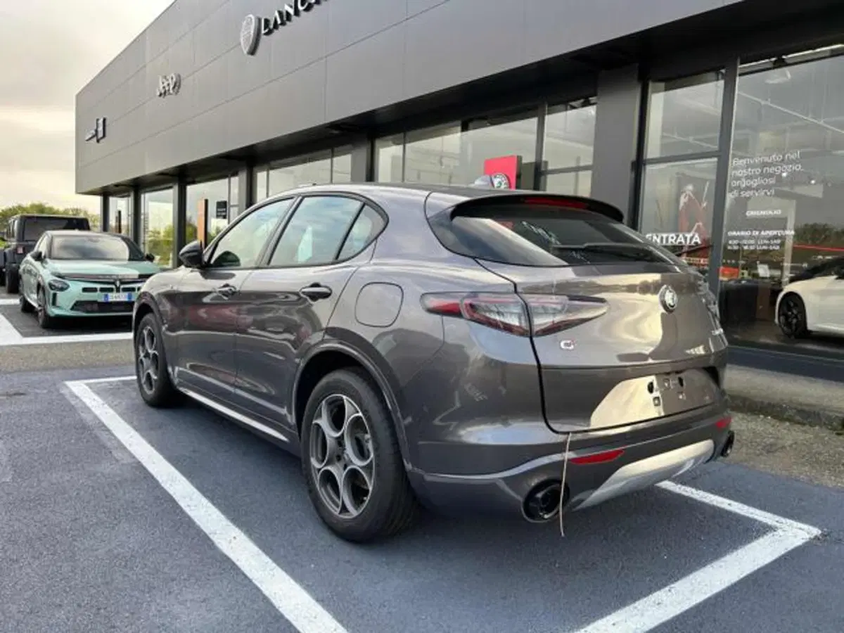 Alfa Romeo Stelvio nuova a Vercelli (4)