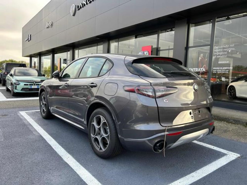 Alfa Romeo Stelvio nuova a Vercelli (4)