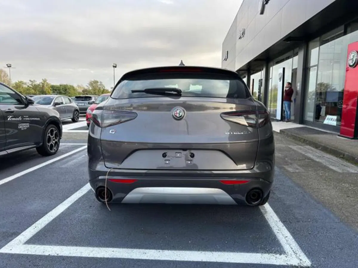 Alfa Romeo Stelvio nuova a Vercelli (5)