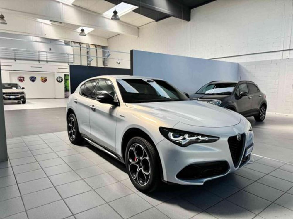 Alfa Romeo Stelvio usata a Vercelli