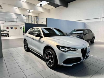 Alfa Romeo Stelvio Stelvio 2.2 Turbodiesel 210 CV AT8 Q4 Veloce del 2024 usata a Vercelli