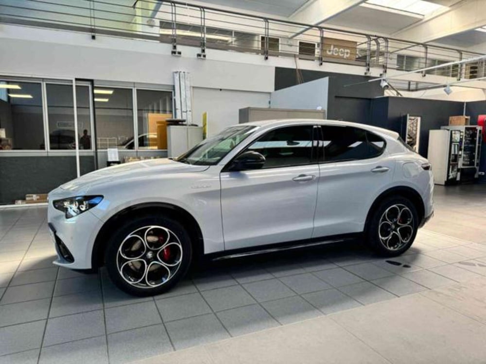 Alfa Romeo Stelvio usata a Vercelli (9)