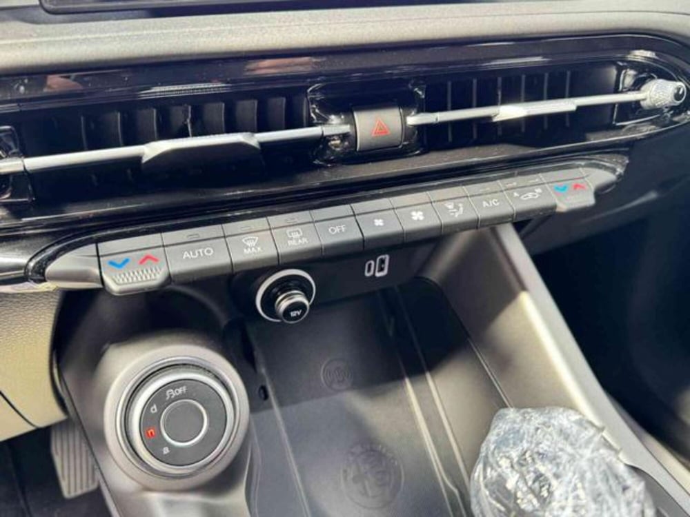 Alfa Romeo Tonale usata a Vercelli (17)
