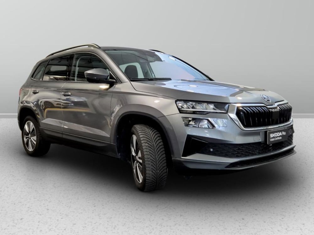Skoda Karoq usata a Padova (6)