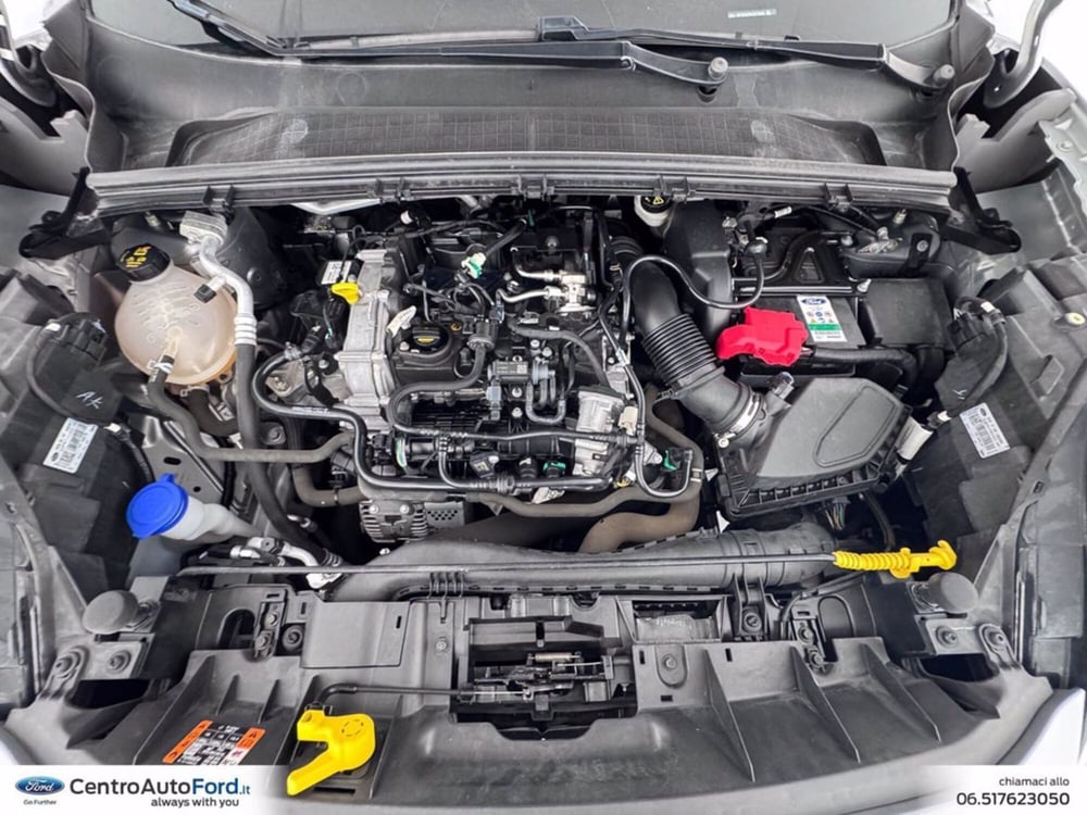 Ford Puma usata a Roma (13)