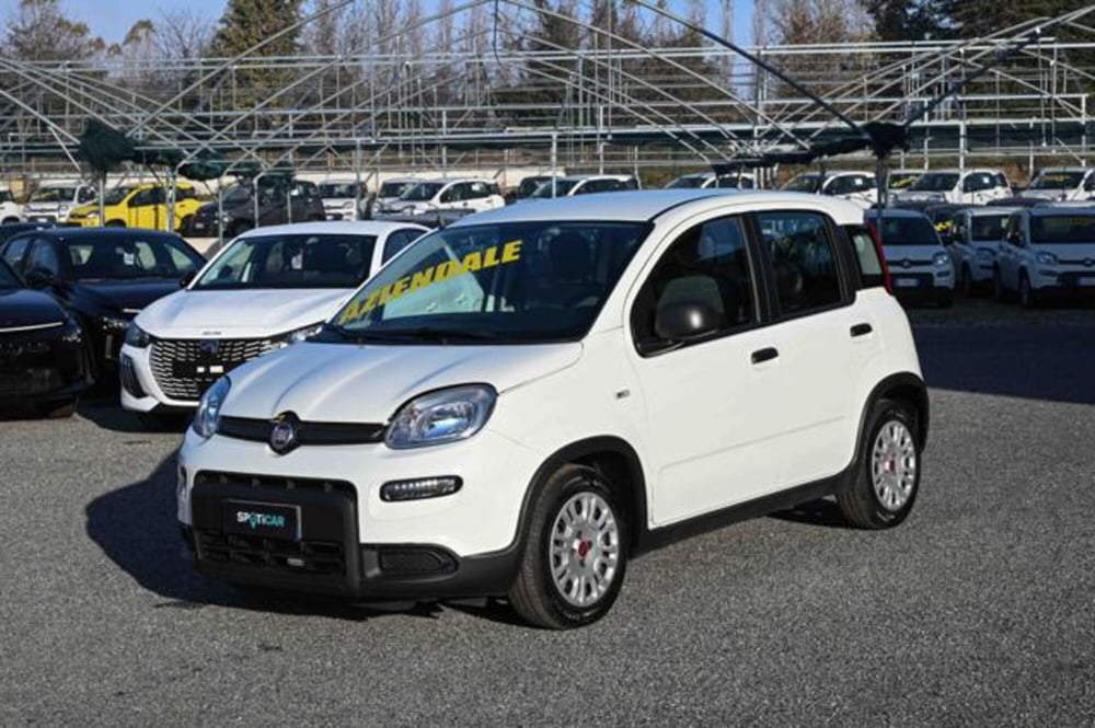 Fiat Panda usata a Torino